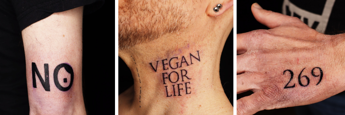 Linksgr&uuml;nversiffte Litfa&szlig;s&auml;ule