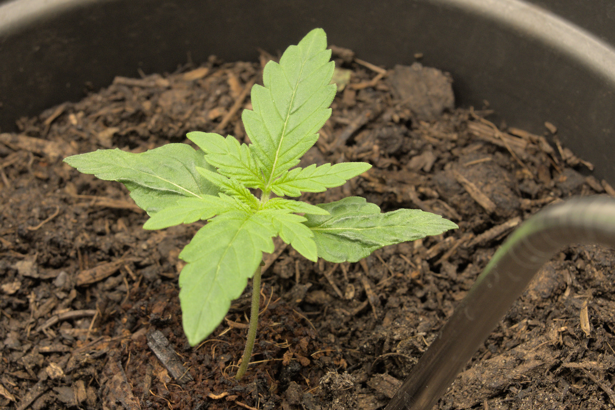 Kleines Update zwischendurch