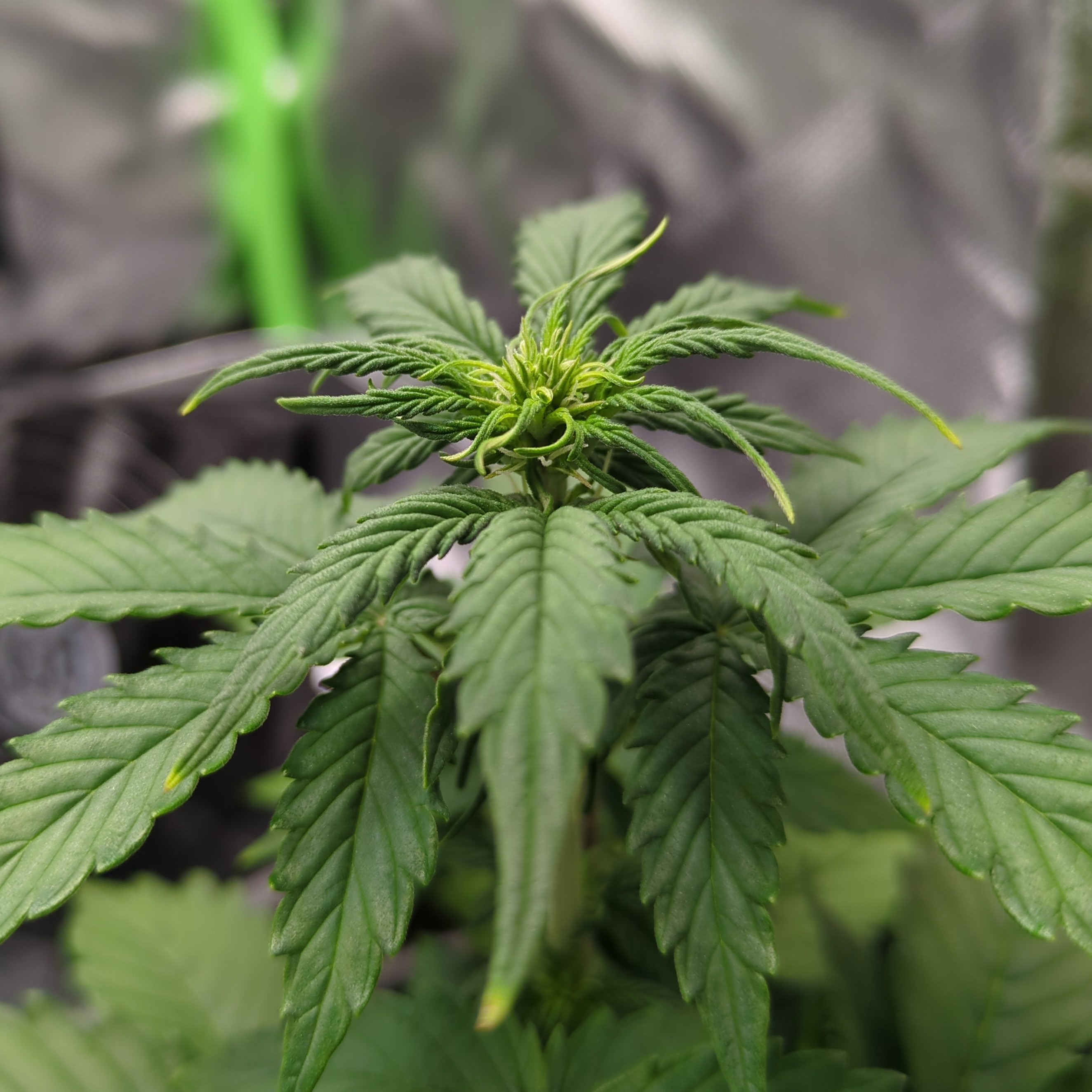 Update und erstes Problem