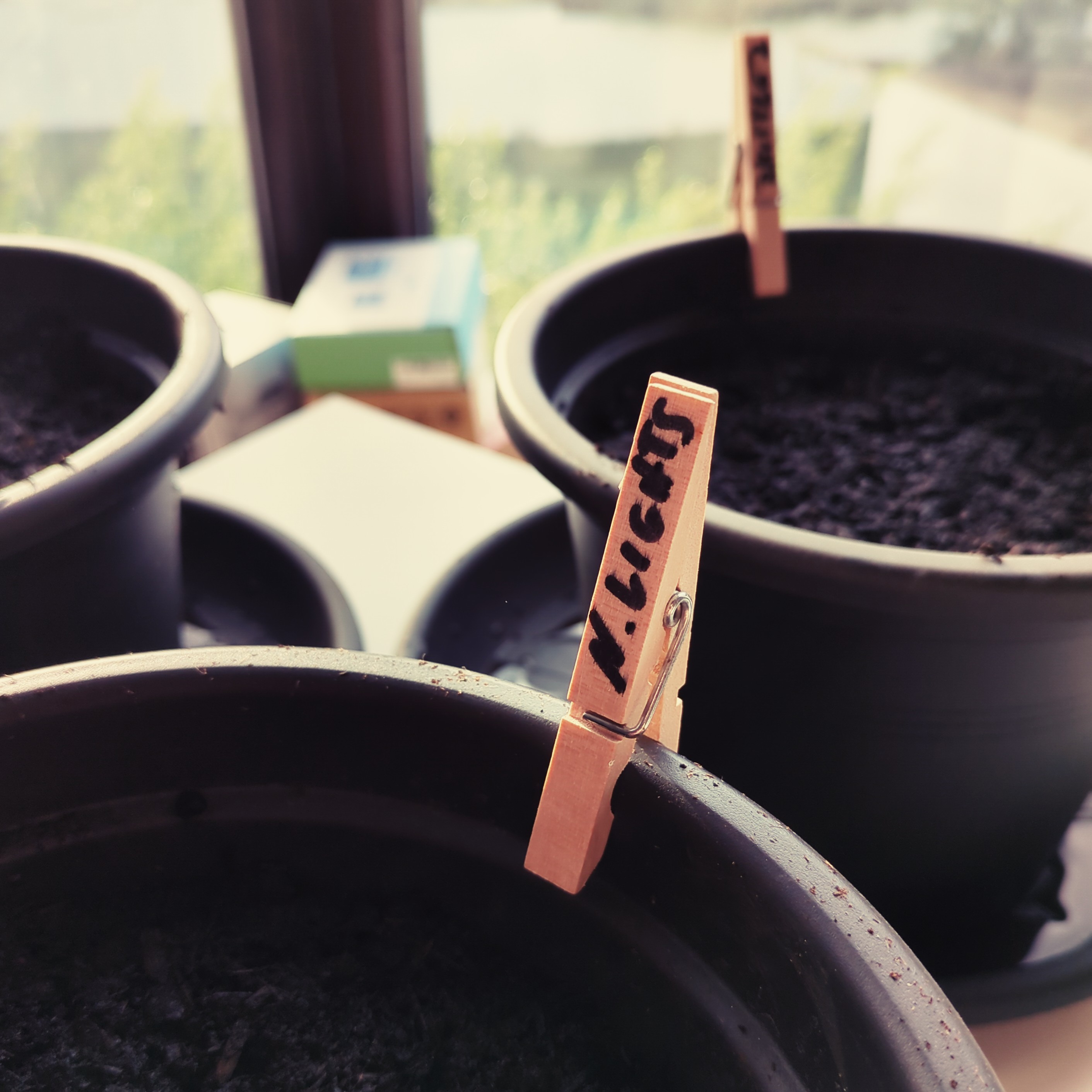 Pflanztöpfe mit Erde und Beschriftung