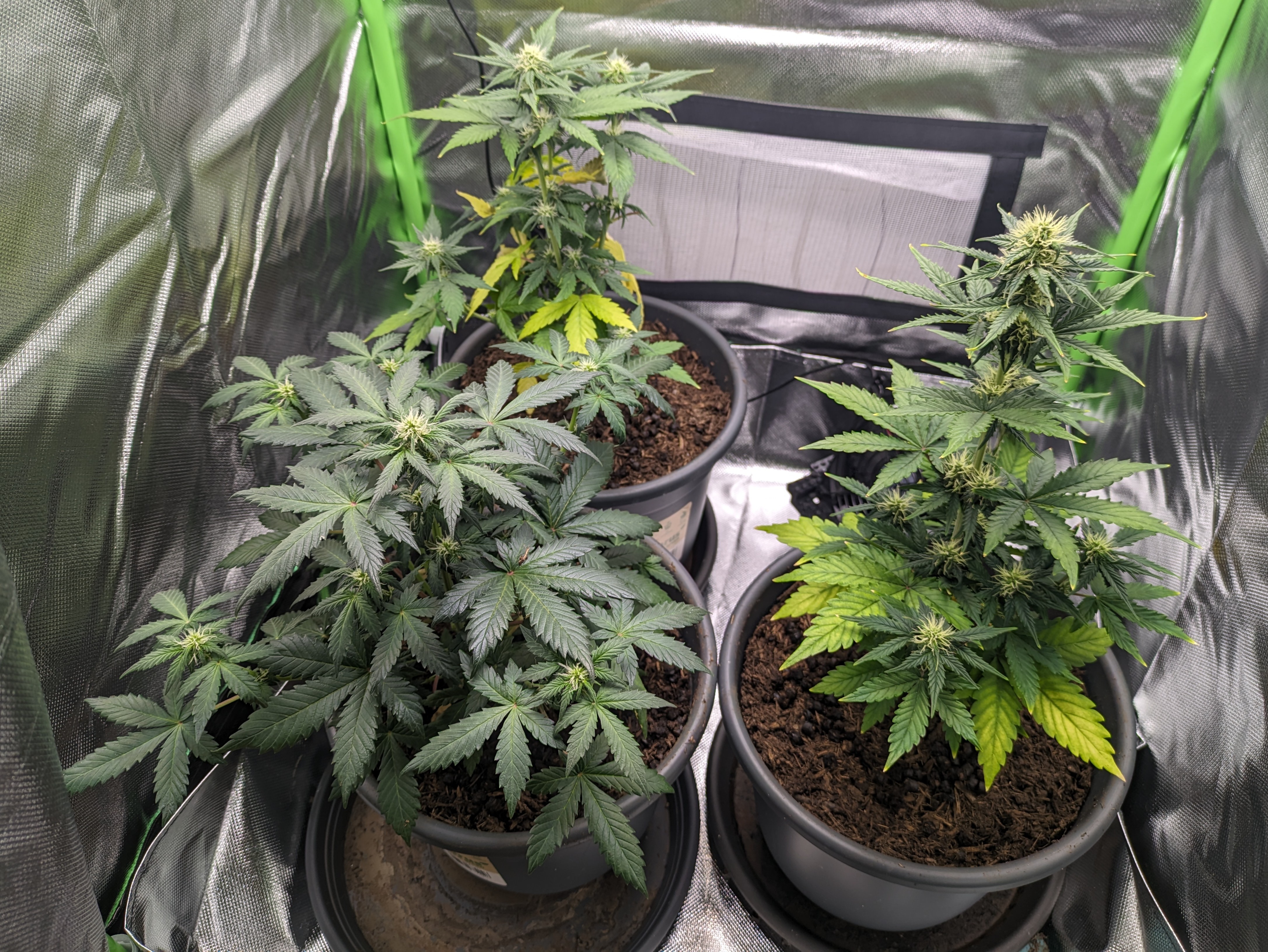 Ziemlich verschieden