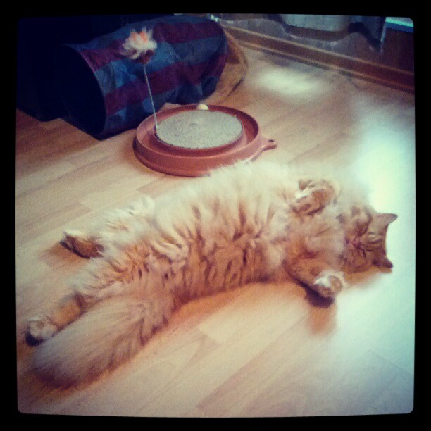 Aus Instagram imporiert