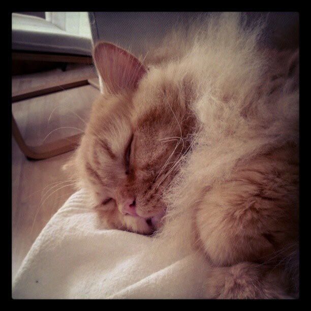 Aus Instagram imporiert