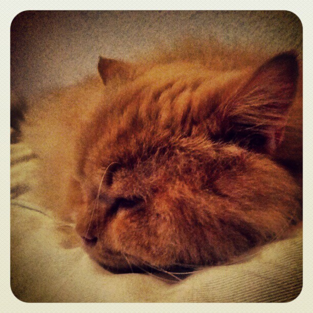 Aus Instagram imporiert