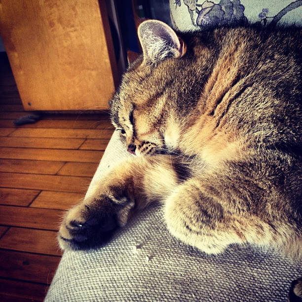 Aus Instagram imporiert