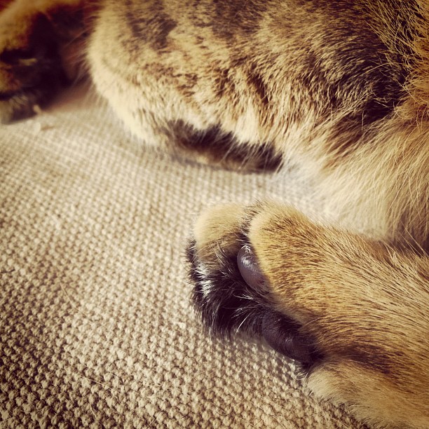 Aus Instagram imporiert