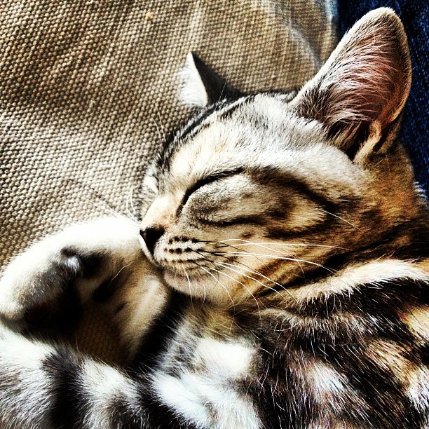 Aus Instagram imporiert