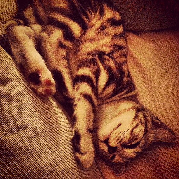 Aus Instagram imporiert