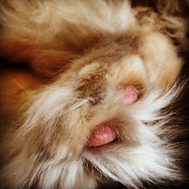 Aus Instagram imporiert