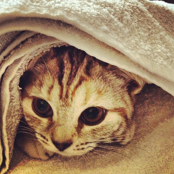 Aus Instagram imporiert