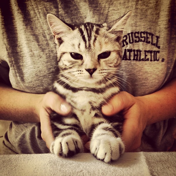 Aus Instagram imporiert