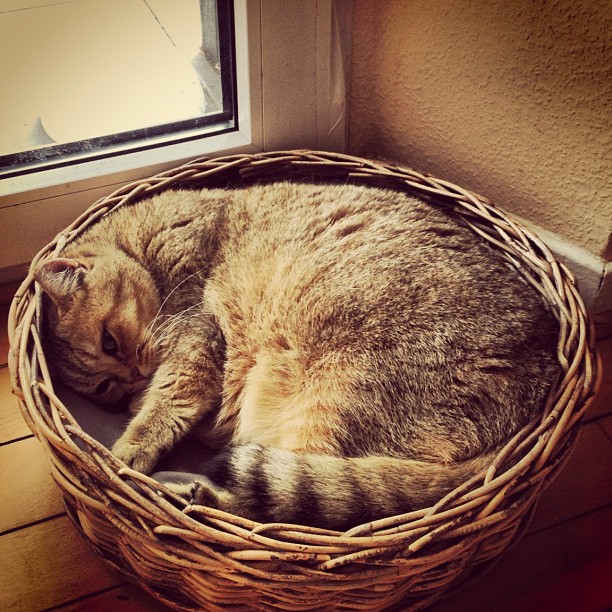 Aus Instagram imporiert