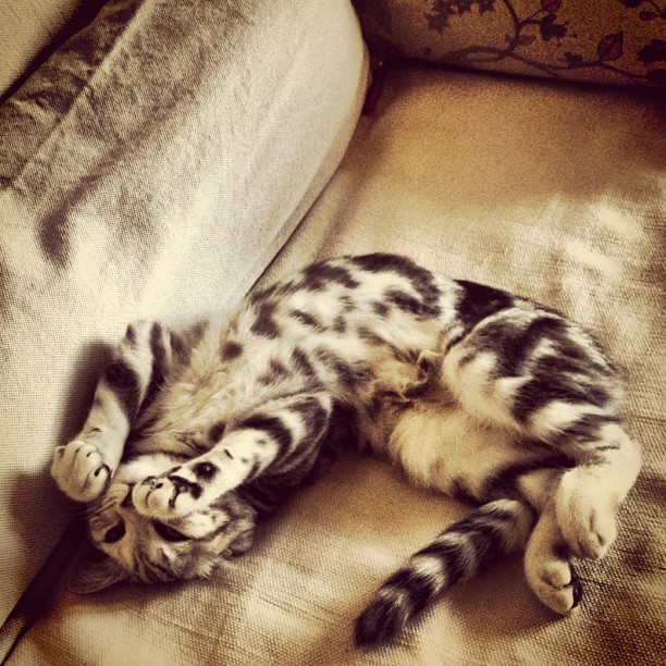 Aus Instagram imporiert