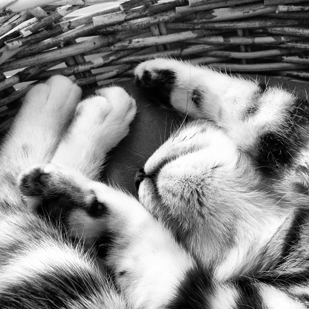 Aus Instagram imporiert