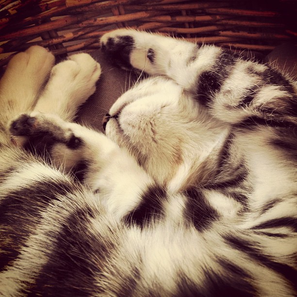 Aus Instagram imporiert