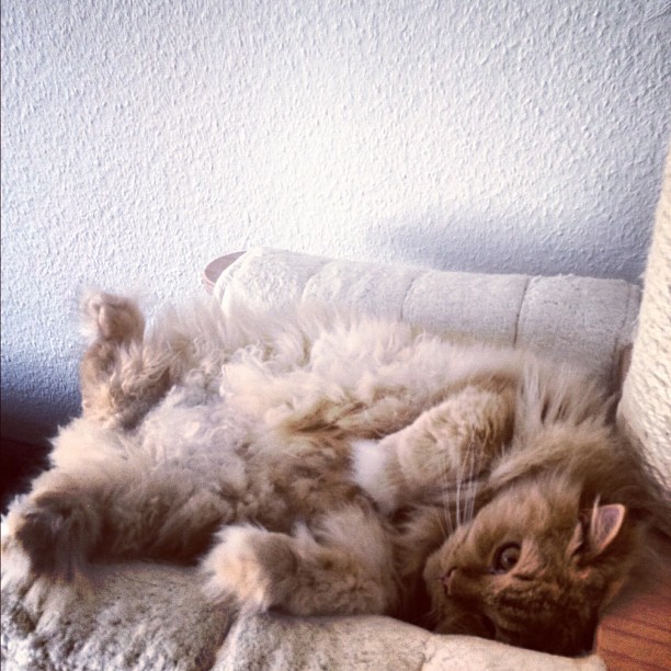 Aus Instagram imporiert