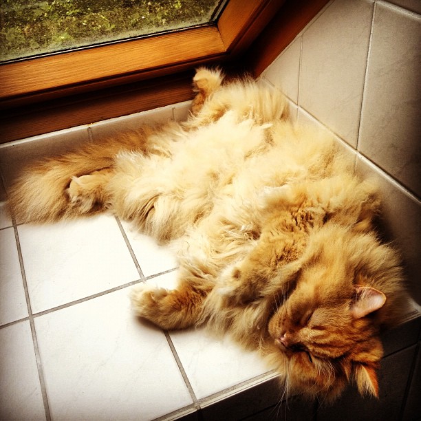 Aus Instagram imporiert