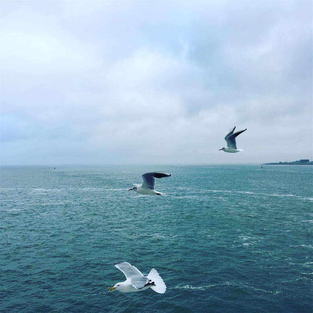 Aus Instagram imporiert