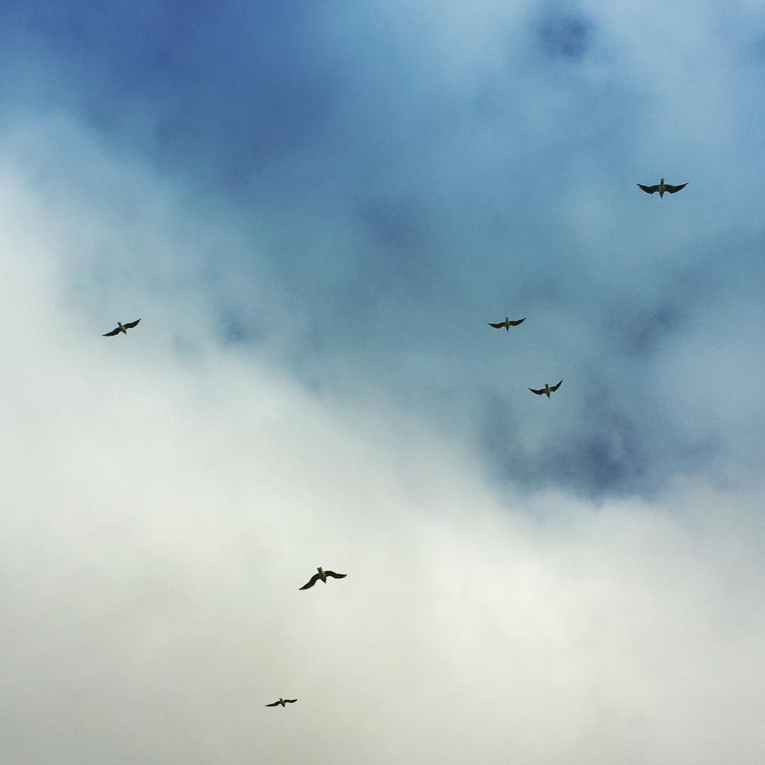 Aus Instagram imporiert