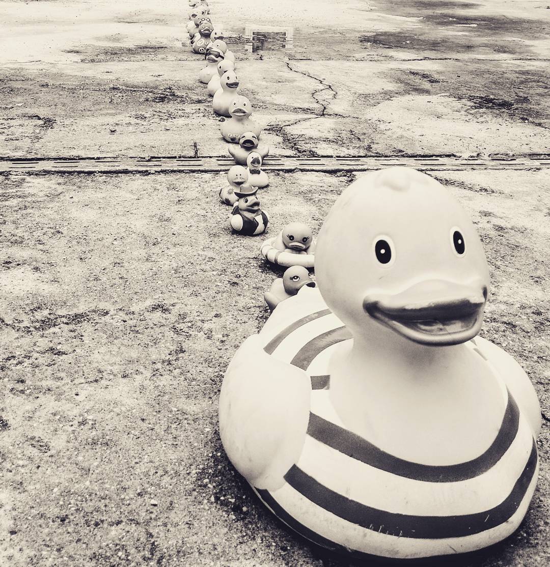 Aus Instagram imporiert