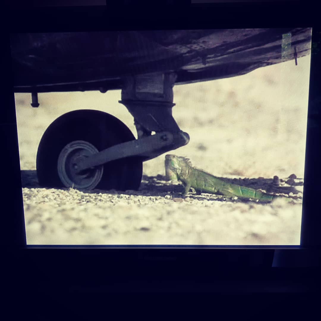 Aus Instagram imporiert