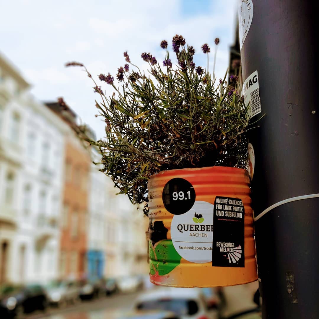 Aus Instagram imporiert