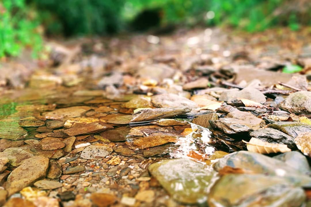 Aus Instagram imporiert