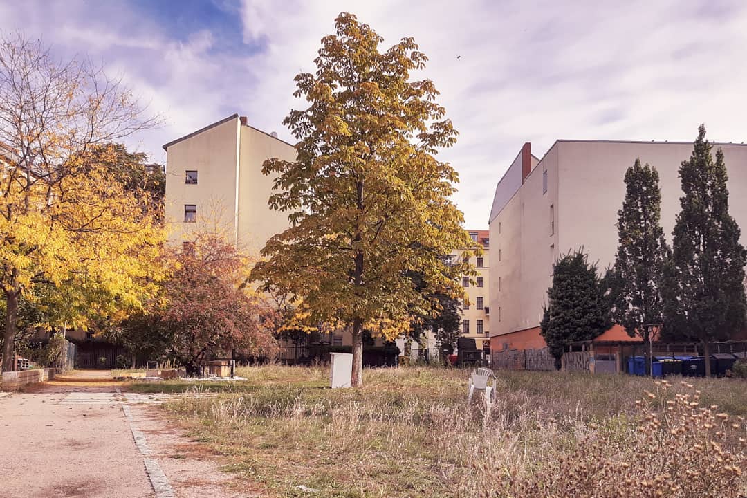 Aus Instagram imporiert