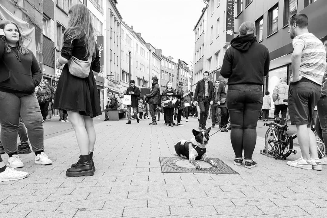 Von Instagram gerettet, leider kein Alt-Text. Sorry.