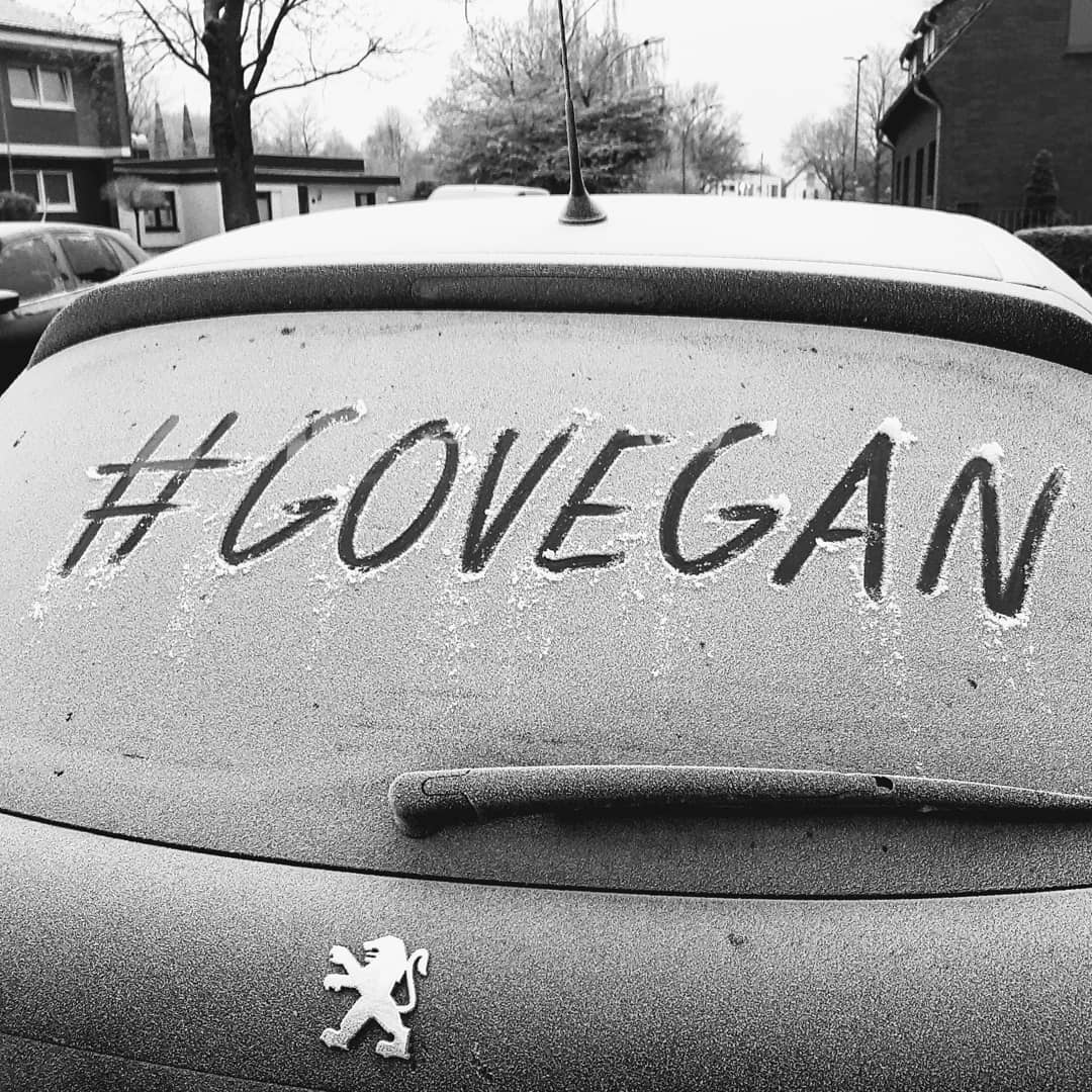 Aus Instagram imporiert