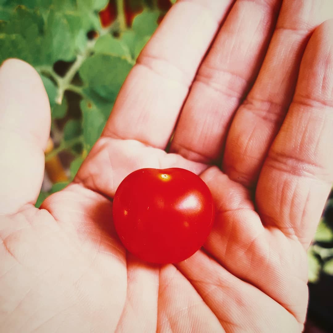 Aus Instagram imporiert