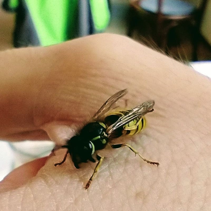 Aus Instagram imporiert