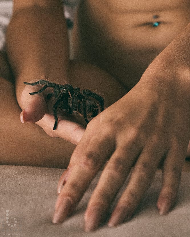 Aus Instagram imporiert