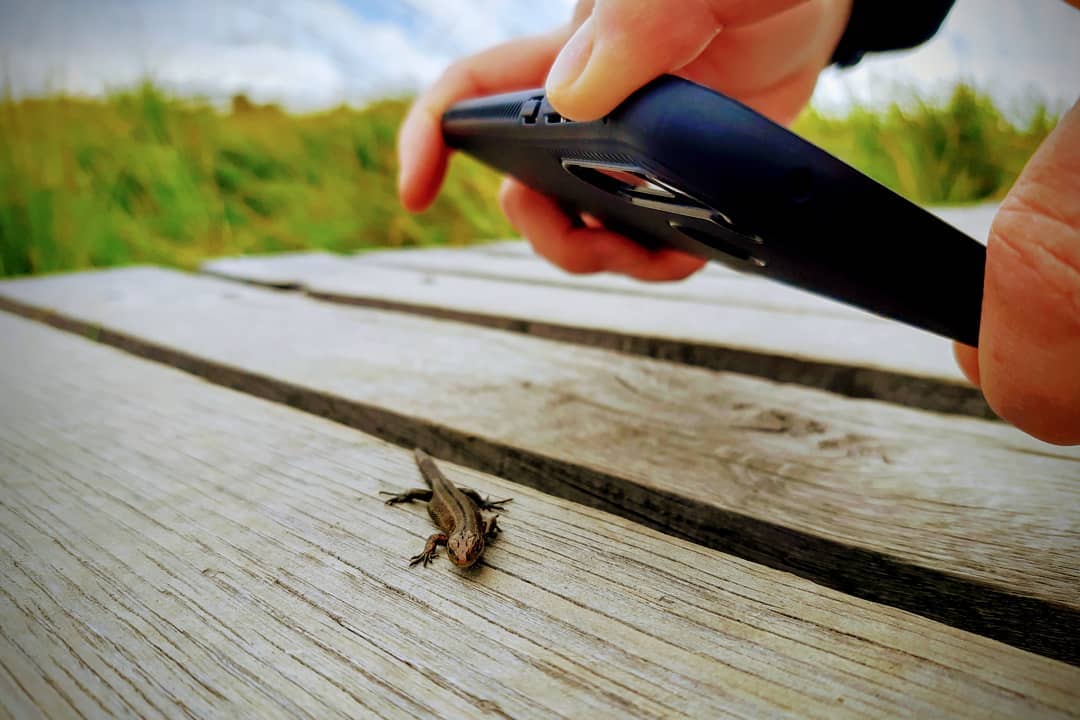 Aus Instagram imporiert