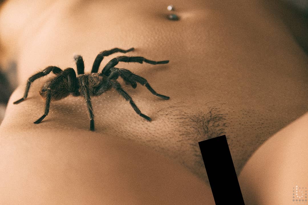 Aus Instagram imporiert