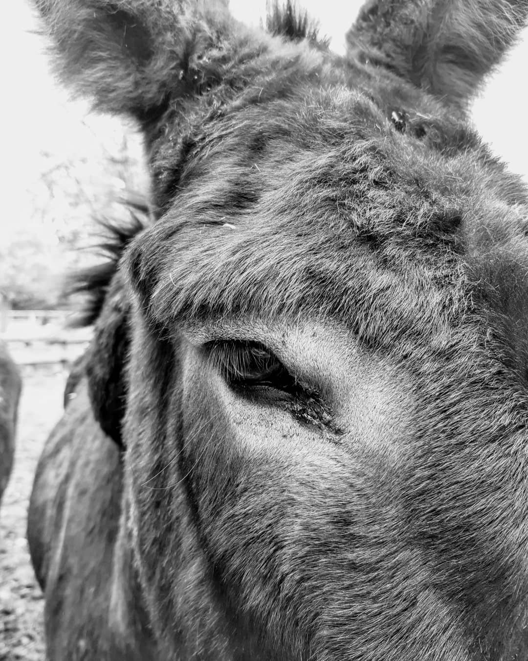 Aus Instagram imporiert