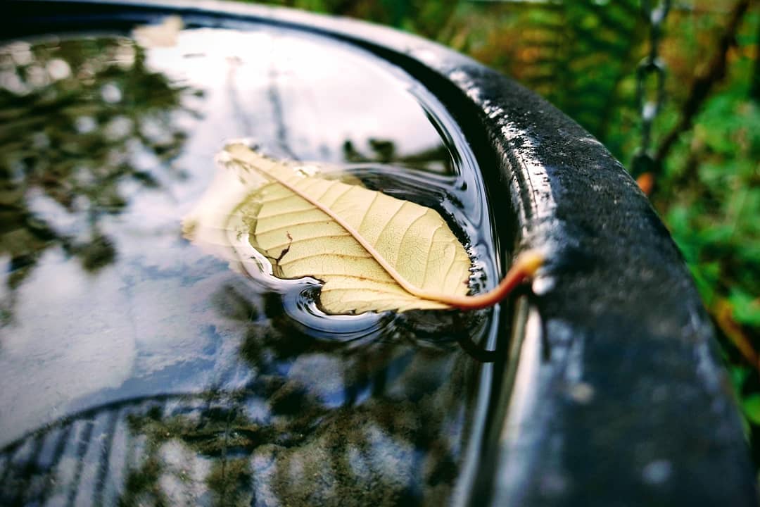 Aus Instagram imporiert