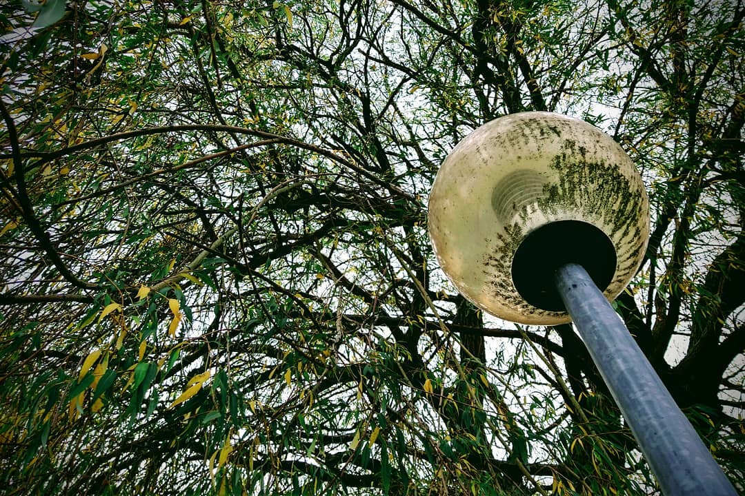 Aus Instagram imporiert