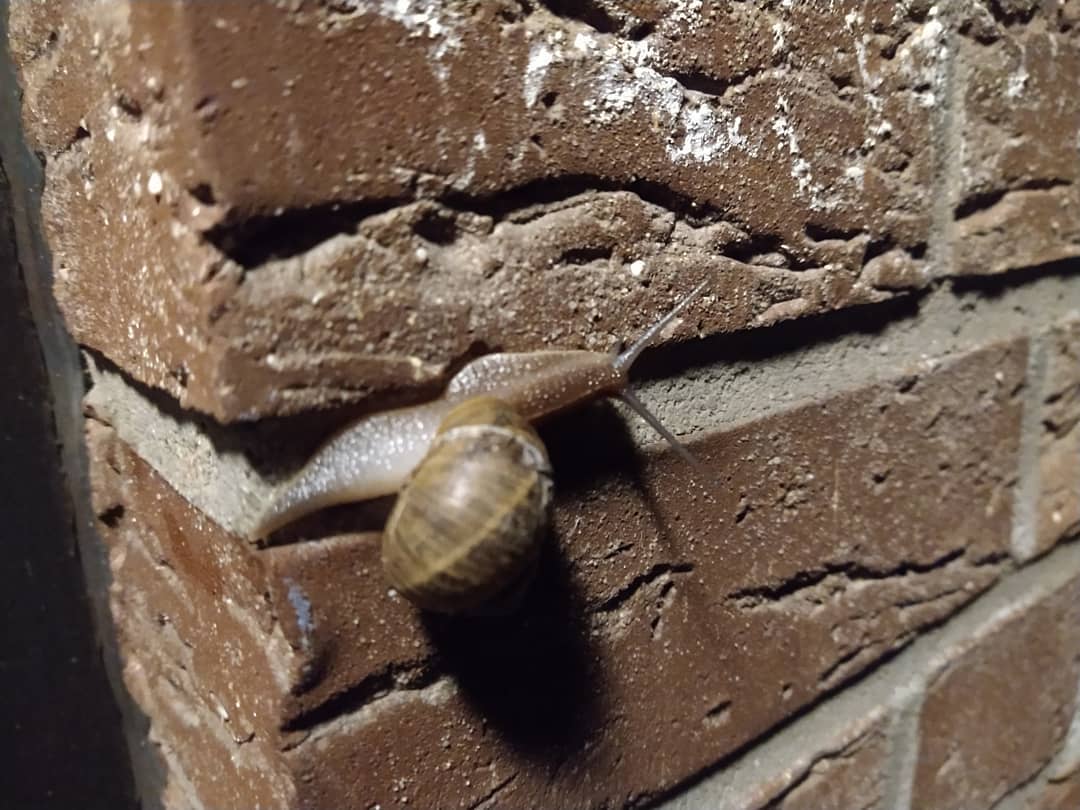 Aus Instagram imporiert