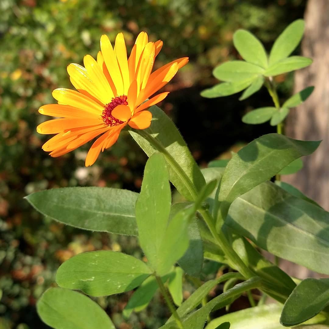 Aus Instagram imporiert