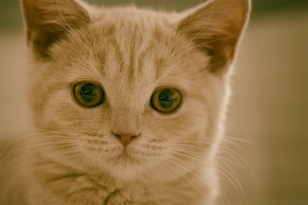 Aus Instagram imporiert