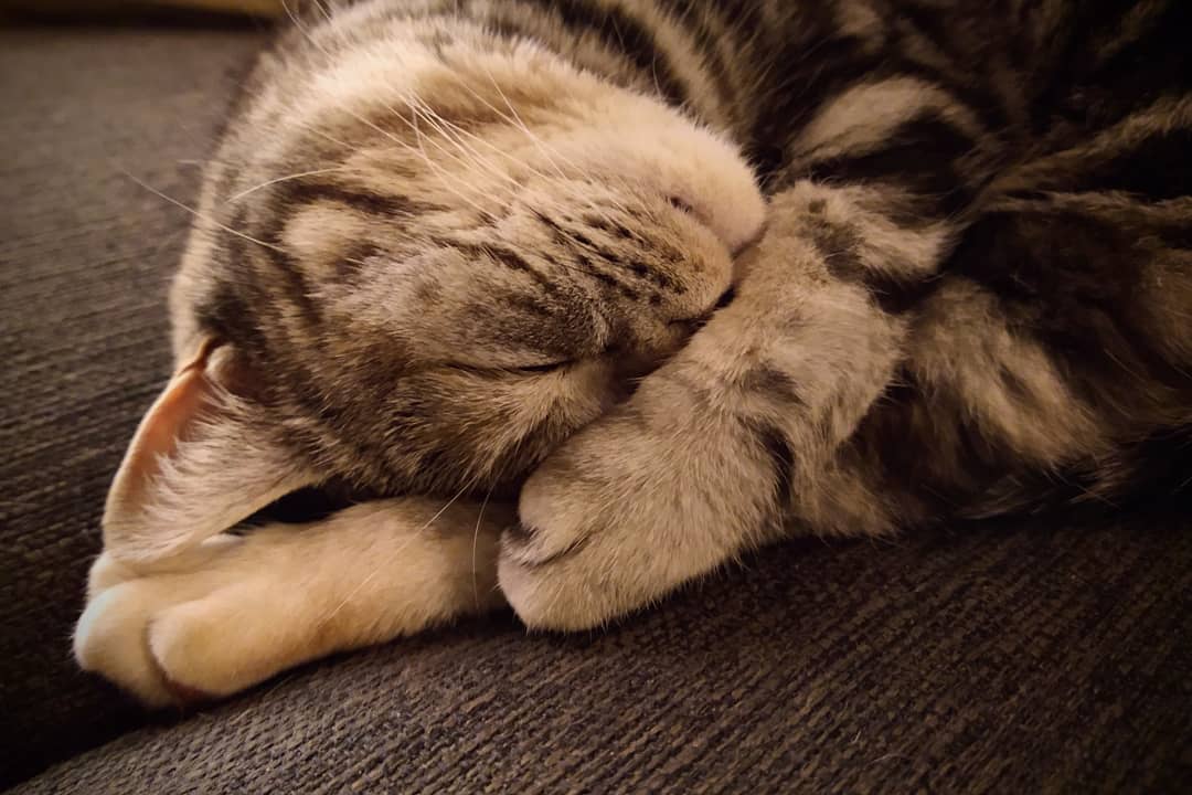 Aus Instagram imporiert