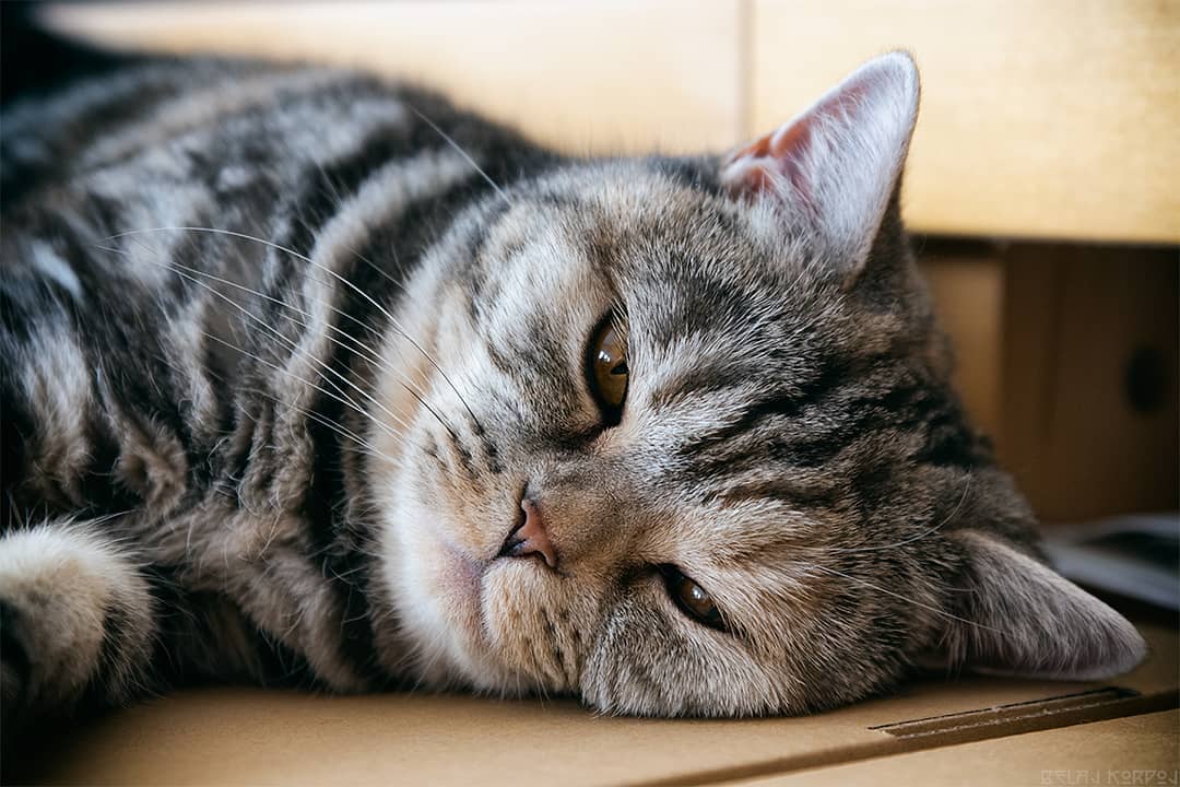 Aus Instagram imporiert