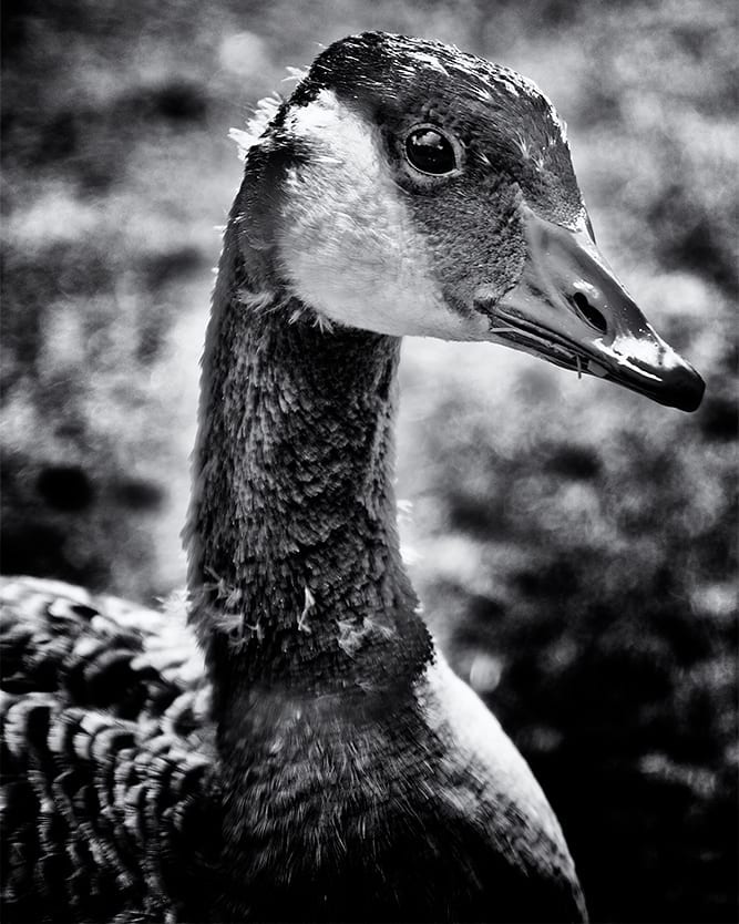 Aus Instagram imporiert