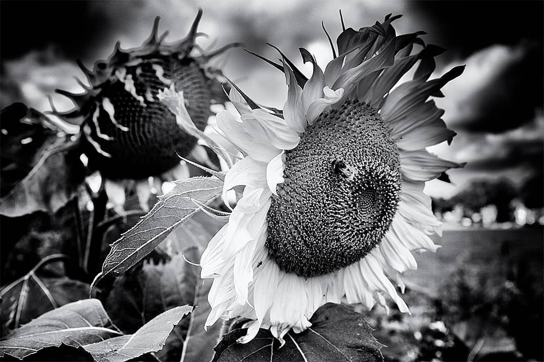 Aus Instagram imporiert