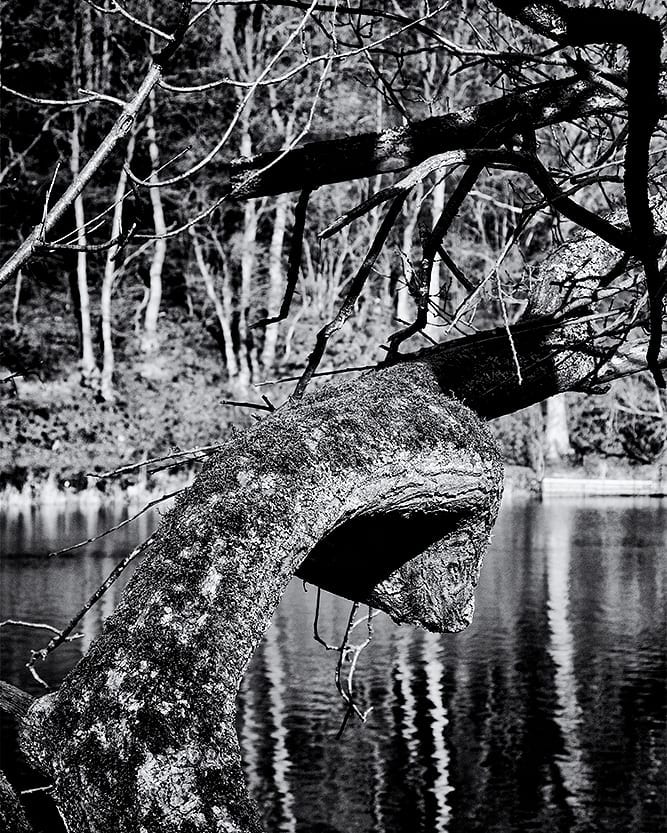 Aus Instagram imporiert