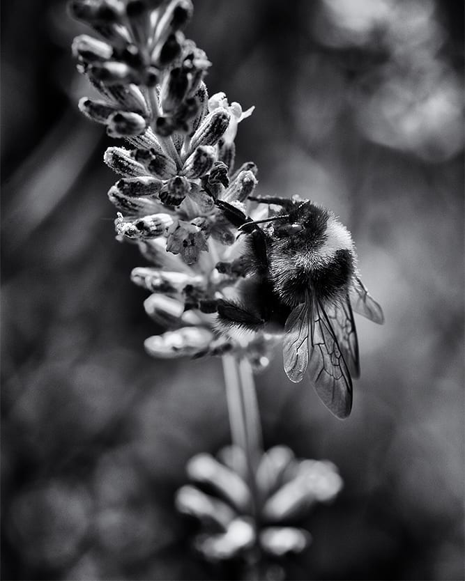 Aus Instagram imporiert