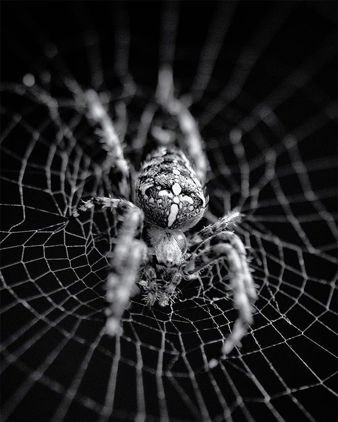 Aus Instagram imporiert