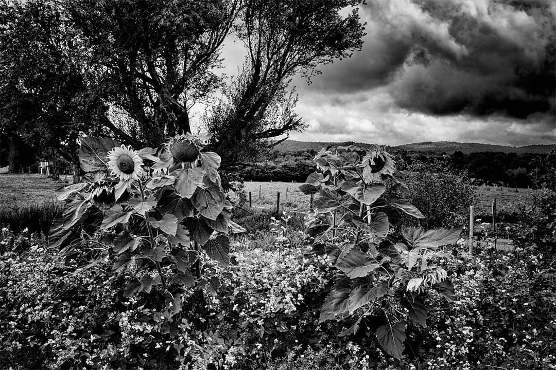 Aus Instagram imporiert