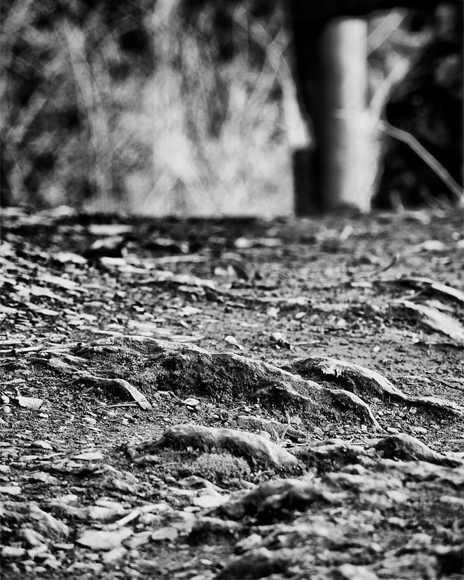 Aus Instagram imporiert